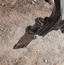 Slot Mate Straight - Super Long Life